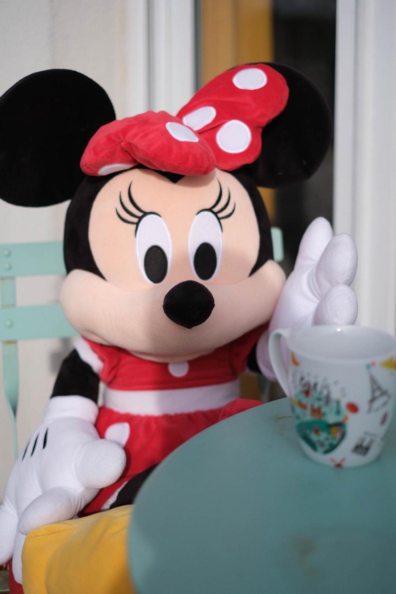 מאני-לה-הונגרה Apart' Minnie - Disneyland Paris - 3 Bedrooms - Parking Prive מראה חיצוני תמונה